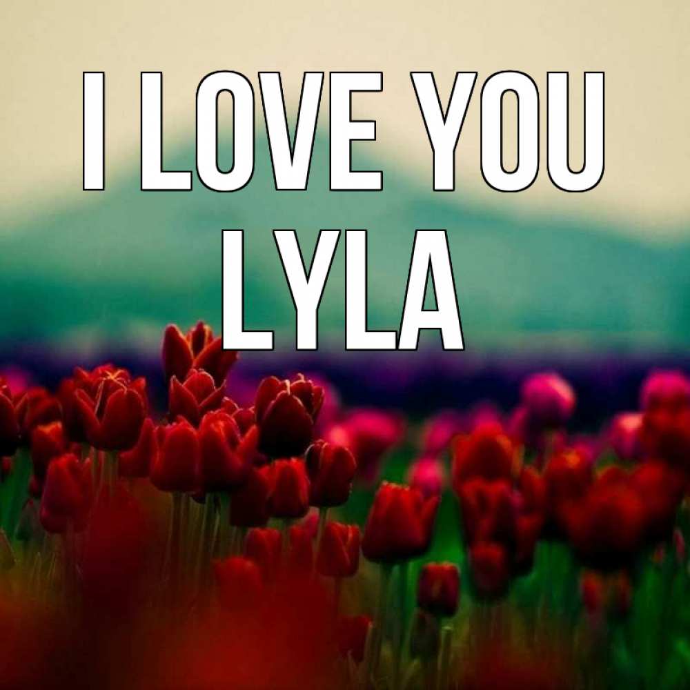 Greetings card с именем, Lyla I love you тюльпаны 4 Greetings with text for free download 