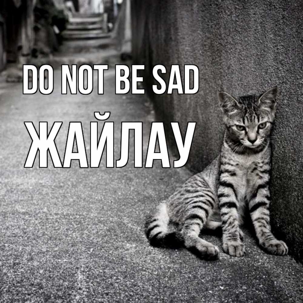 Greetings card с именем, Жайлау Do not be sad скучающий котик Greetings with text for free download 