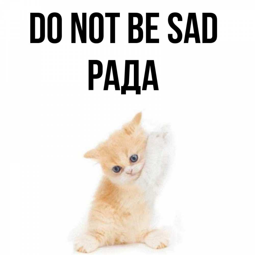 Greetings card с именем, Рада Do not be sad просящий кот Greetings with text for free download 