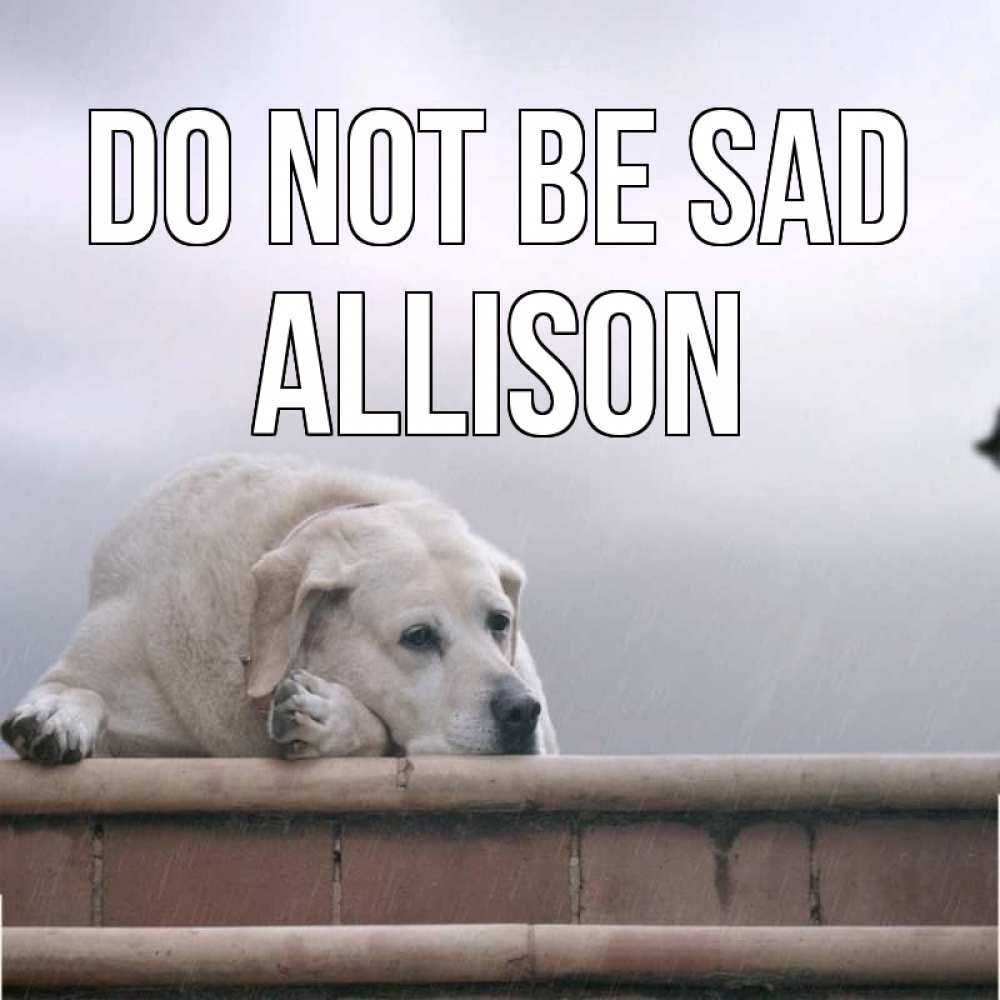 Greetings card с именем, Allison Do not be sad белый пес 1 Greetings with text for free download 