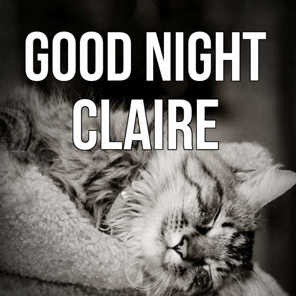 Greetings card с именем, Claire Good night котярик пушистый Greetings with text for free download 