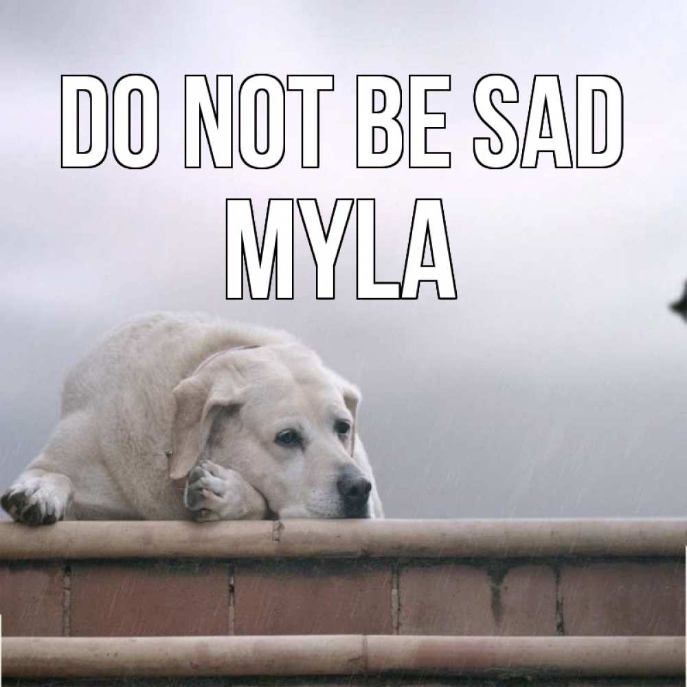 Greetings card с именем, Myla Do not be sad белый пес 1 Greetings with text for free download 