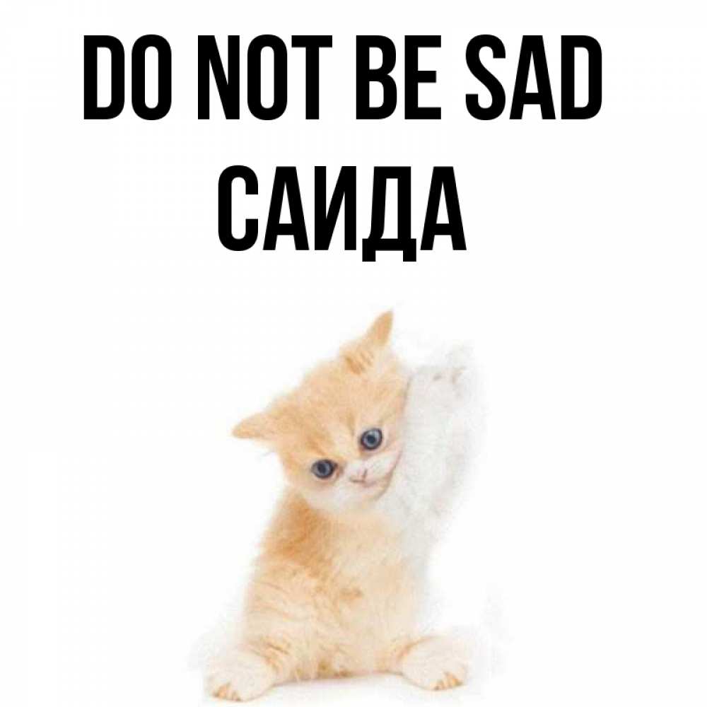 Greetings card с именем, Саида Do not be sad просящий кот Greetings with text for free download 