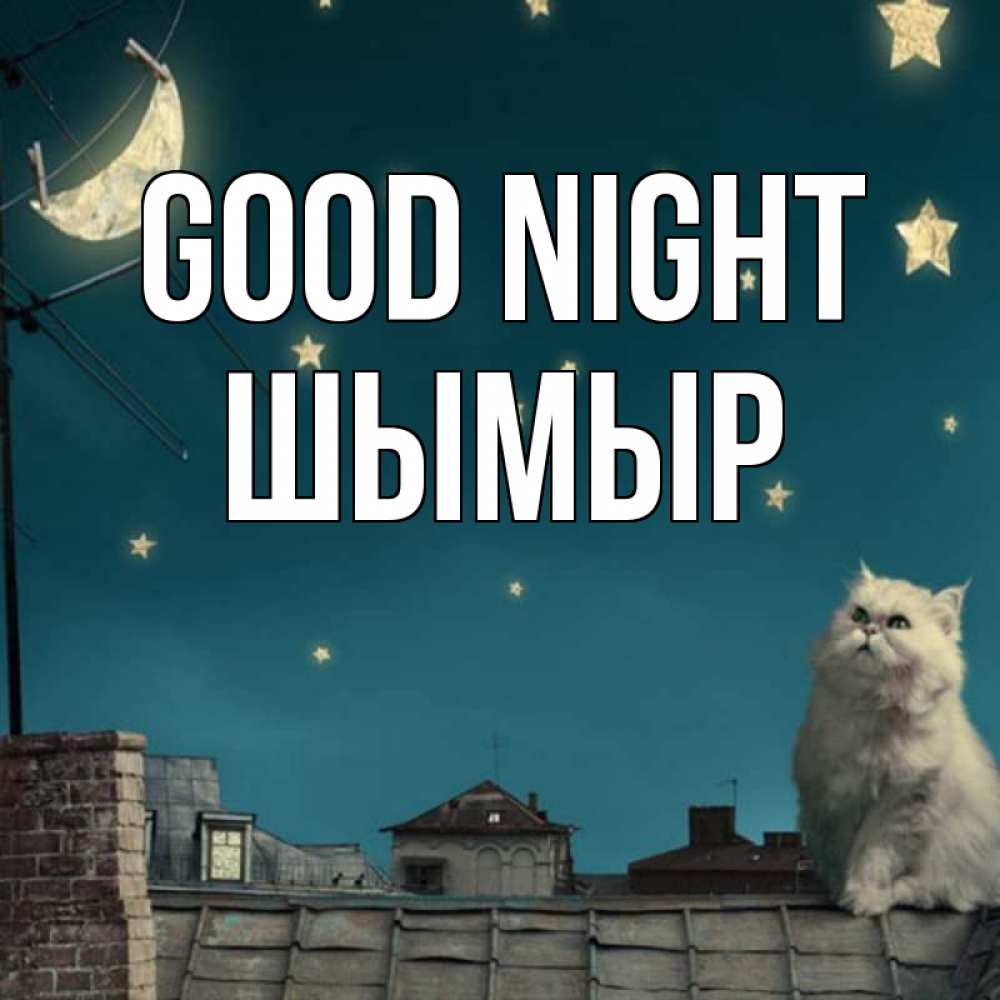 Greetings card с именем, ШЫМЫР Good night белый кот сидит на крыше Greetings with text for free download 