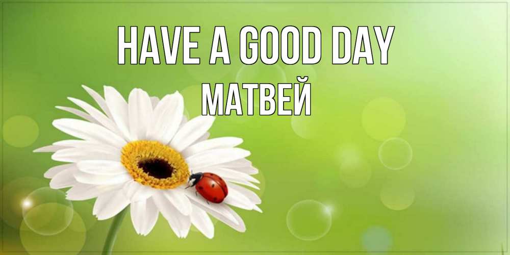 Greetings card с именем, Матвей Have a good day зеленый фон и ромашка Greetings with text for free download 