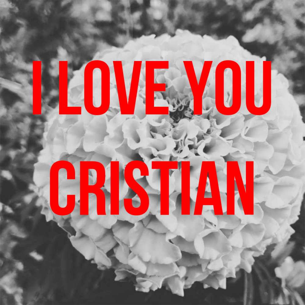 Greetings card с именем, Cristian I love you подпись Greetings with text for free download 