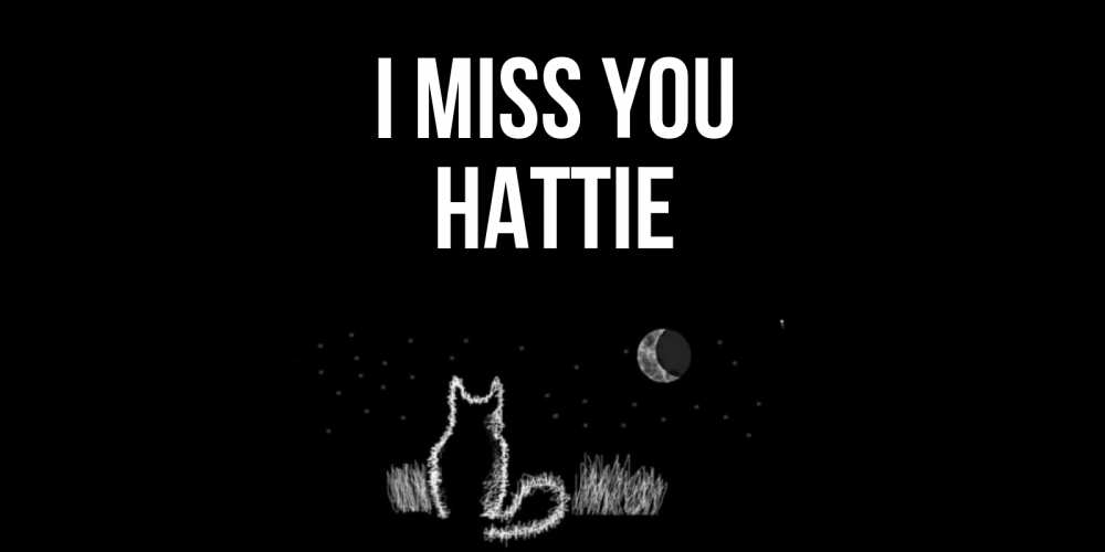 Greetings card с именем, Hattie I miss you кот Greetings with text for free download 