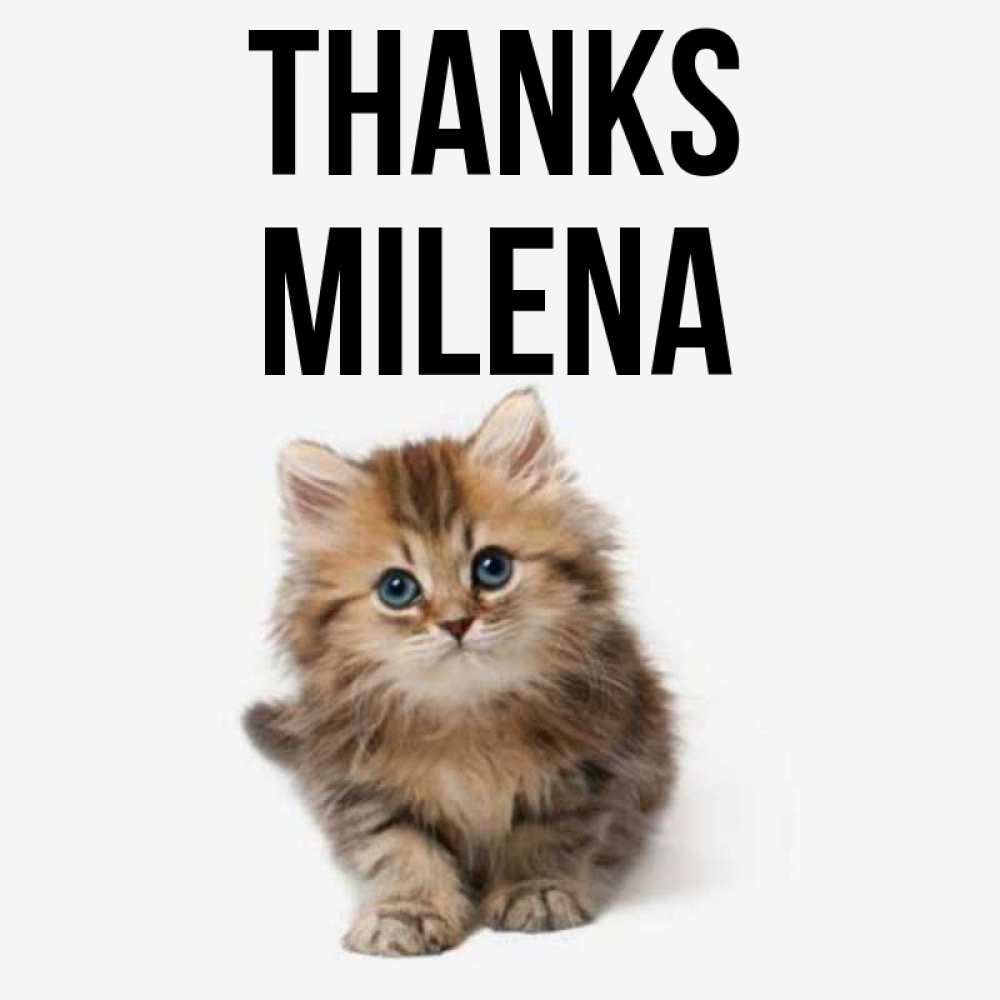 Greetings card с именем, Milena Thanks пушистый котик Greetings with text for free download 