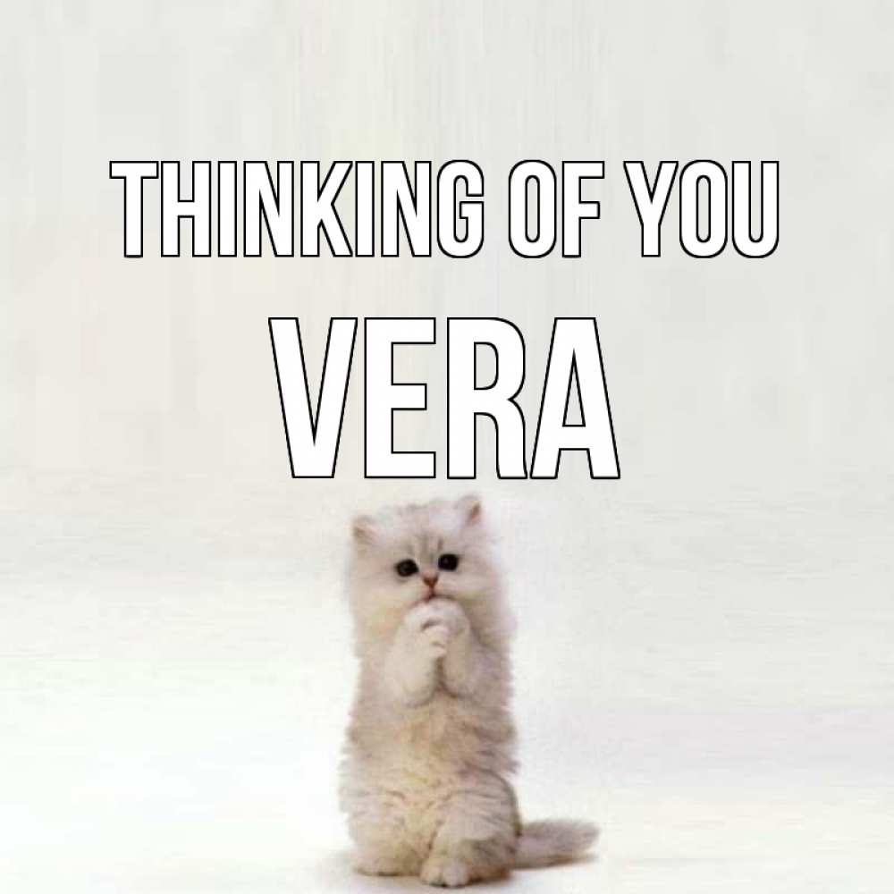 Greetings card с именем, Vera Thinking of you кот стоит на задних лапах Greetings with text for free download 