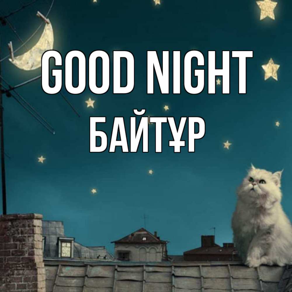 Greetings card с именем, Байтұр Good night белый кот сидит на крыше Greetings with text for free download 