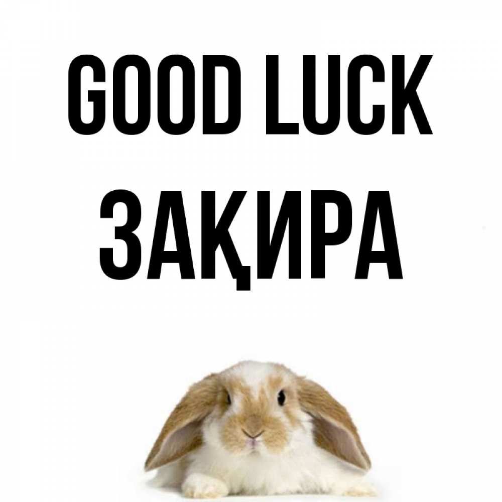 Greetings card с именем, ЗАҚИРА Good luck открытки с произвольным текстом который можно вставить в открытку и создать ее самостоятельно бесплатно онлайн Greetings with text for free download 