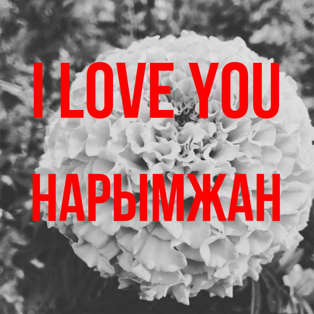Greetings card с именем, НАРЫМЖАН I love you подпись Greetings with text for free download 