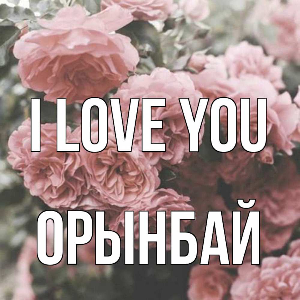 Greetings card с именем, ОРЫНБАЙ I love you розы 3 Greetings with text for free download 