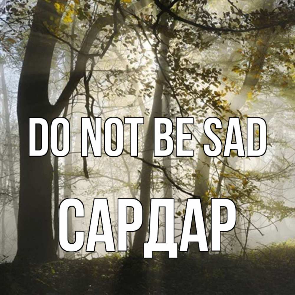 Greetings card с именем, САРДАР Do not be sad лес и свет Greetings with text for free download 