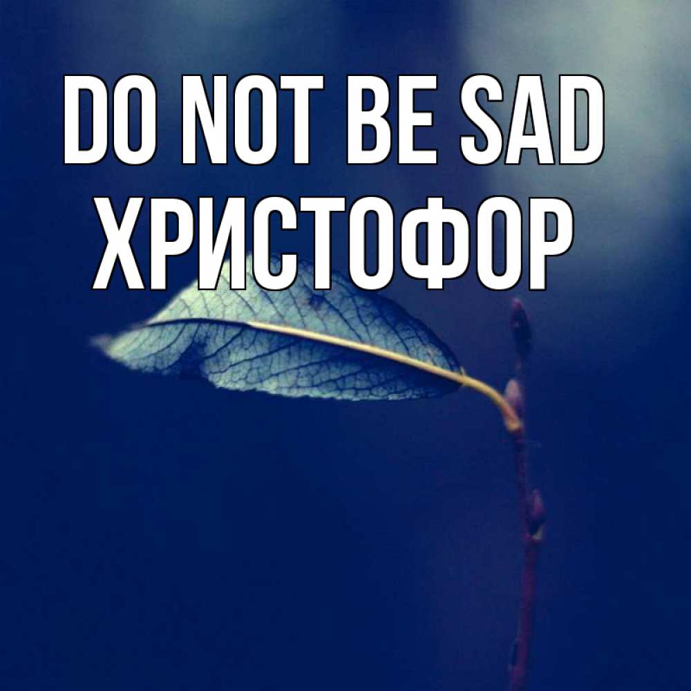 Greetings card с именем, Христофор Do not be sad растение Greetings with text for free download 