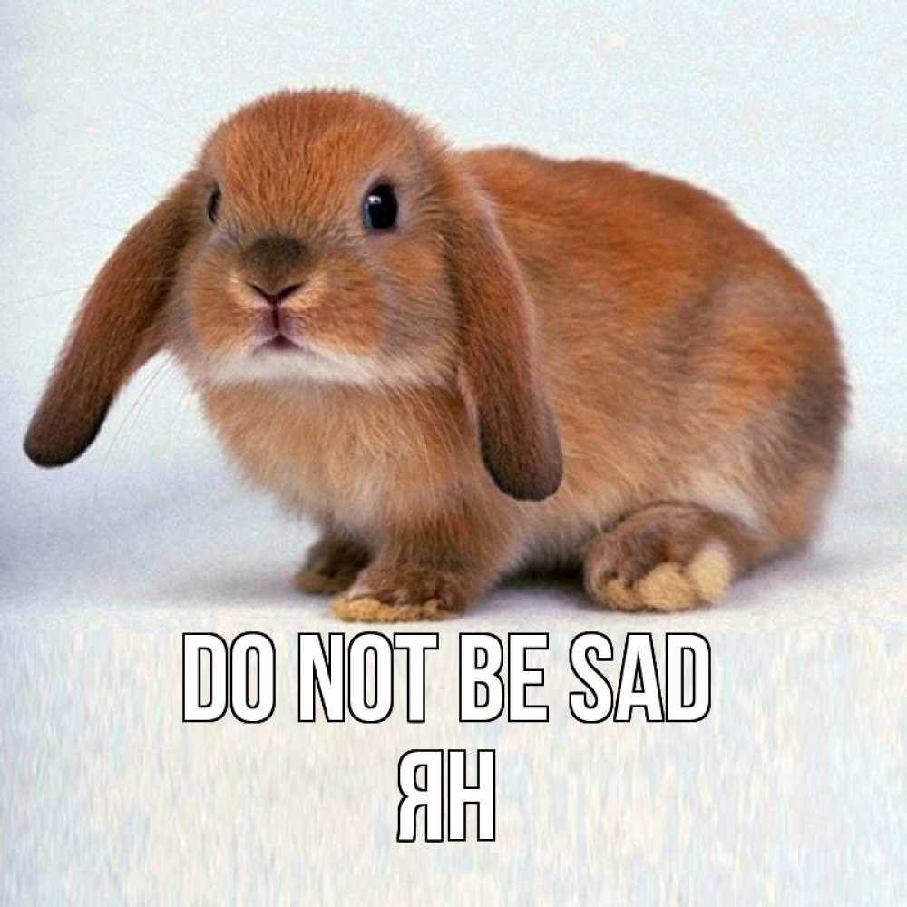 Greetings card с именем, Ян Do not be sad рыжий зая Greetings with text for free download 