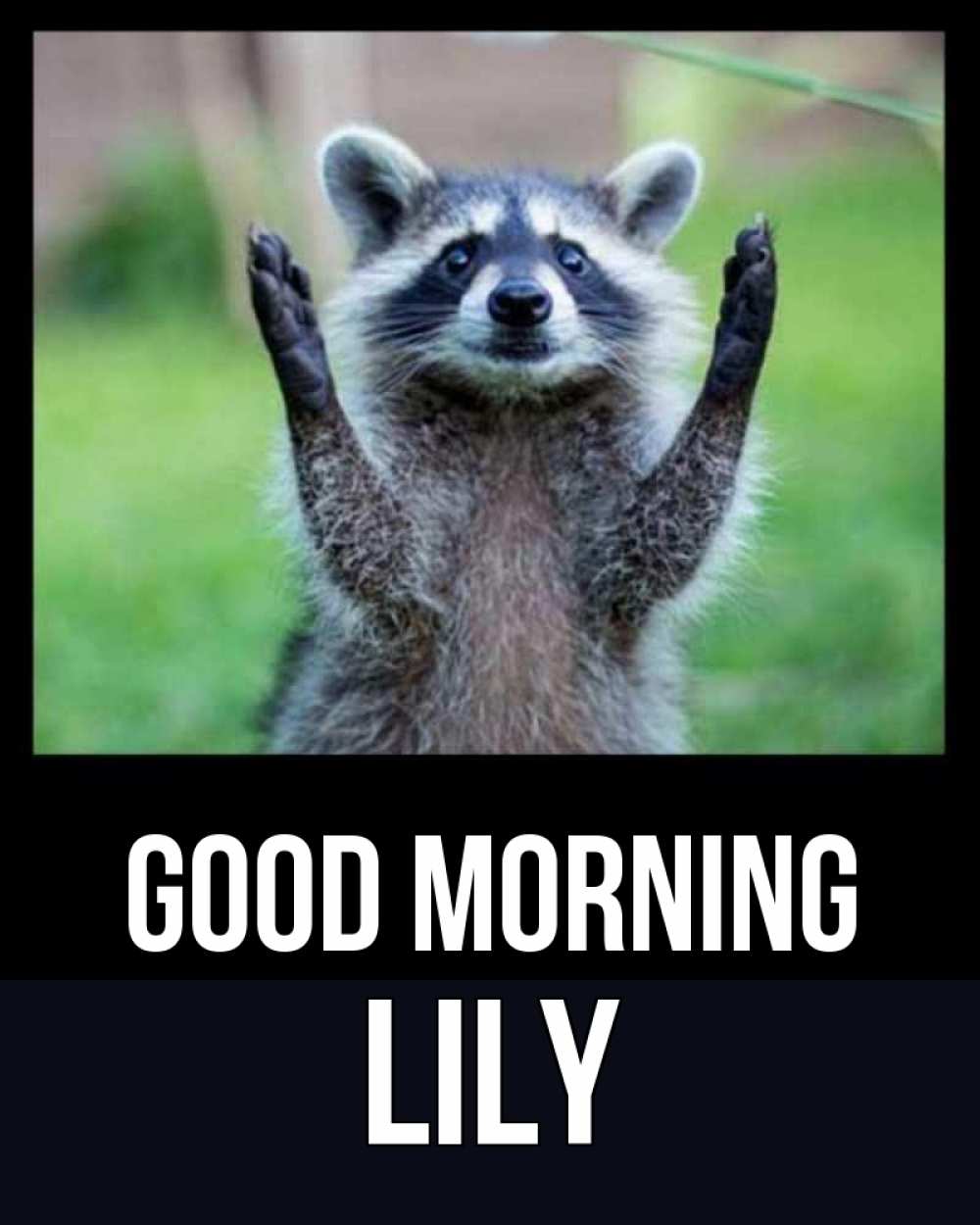 Greetings card с именем, Lily Good morning хорошее настроение утречком Greetings with text for free download 