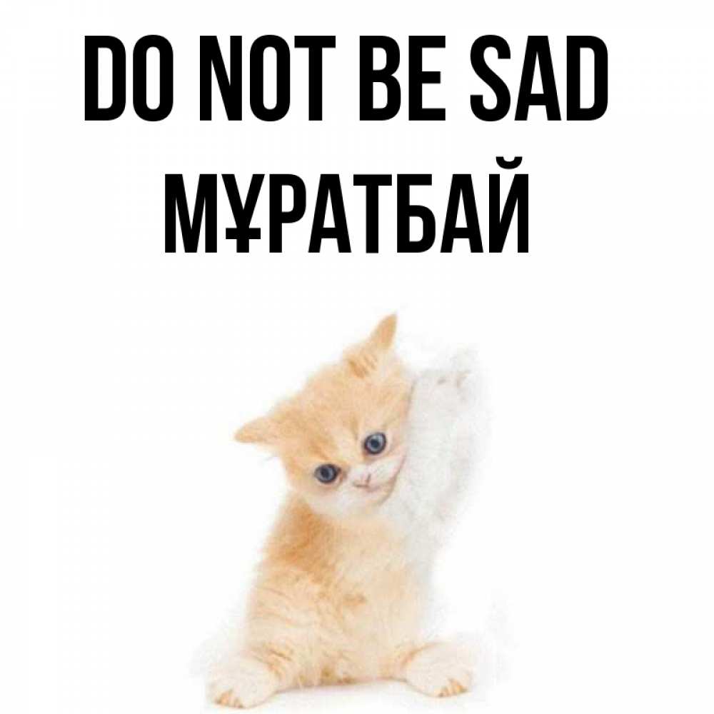 Greetings card с именем, Мұратбай Do not be sad просящий кот Greetings with text for free download 