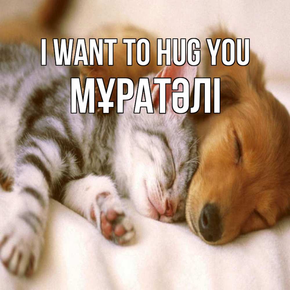 Greetings card с именем, Мұратәлі I want to hug you пес и котенок Greetings with text for free download 