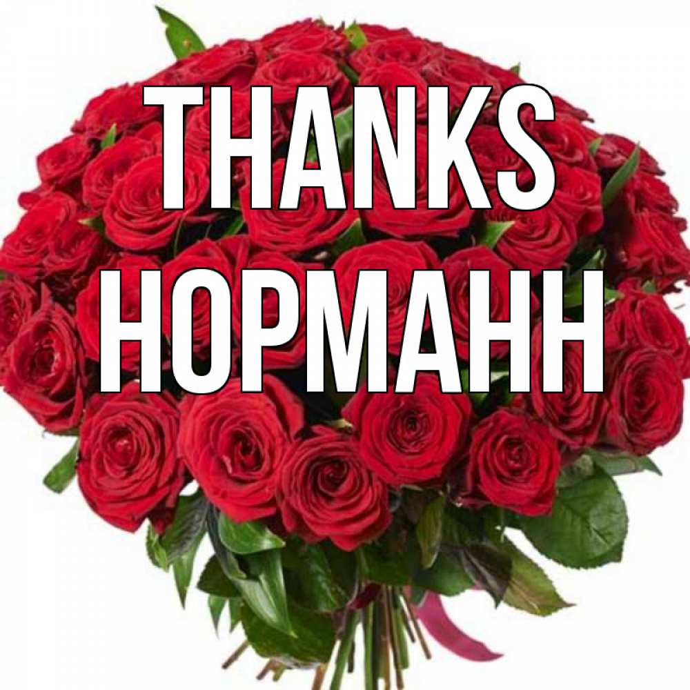 Greetings card с именем, Норманн Thanks букет красных роз Greetings with text for free download 
