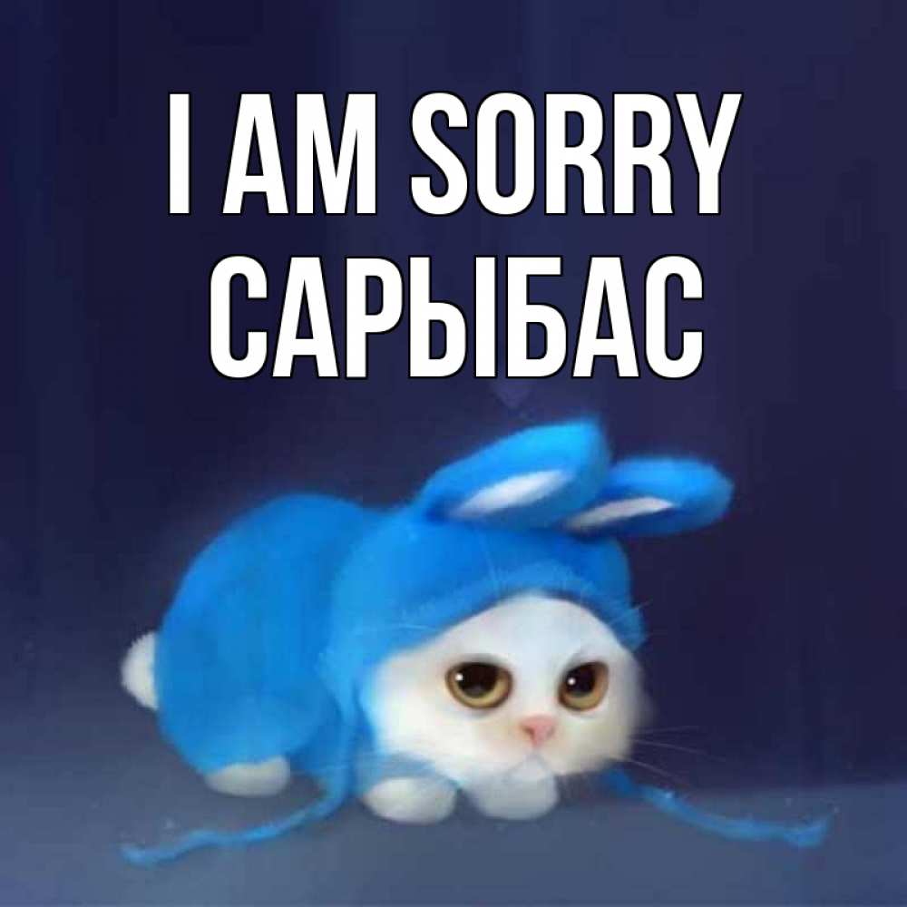 Greetings card с именем, САРЫБАС I am sorry невинный котозай просит прощения Greetings with text for free download 