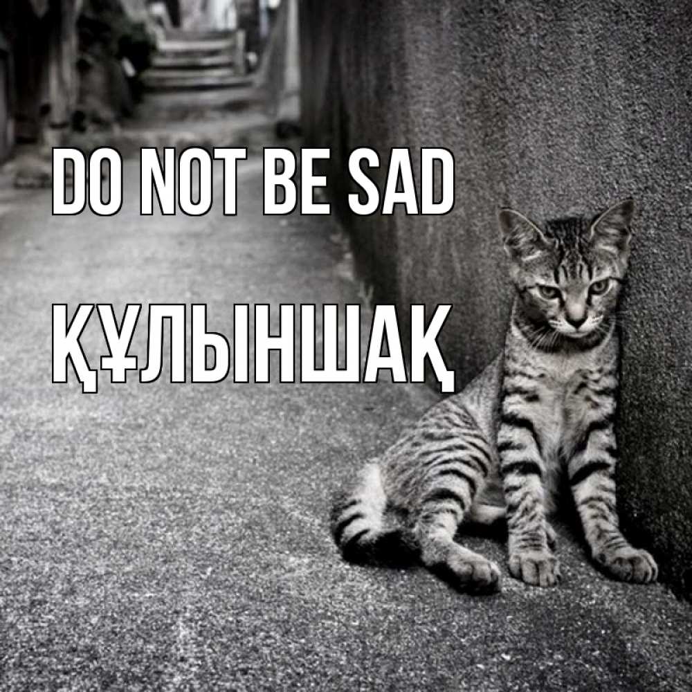Greetings card с именем, ҚҰЛЫНШАҚ Do not be sad скучающий котик Greetings with text for free download 