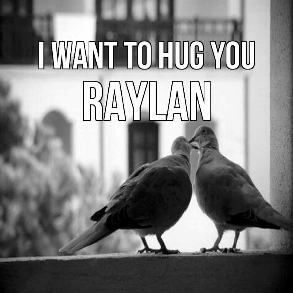 Greetings card с именем, Raylan I want to hug you птицы на подоконнике Greetings with text for free download 