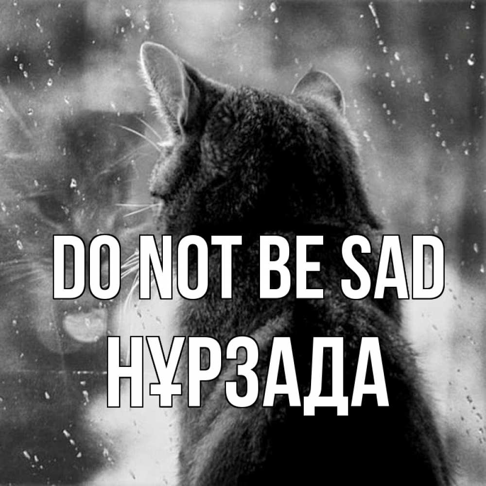 Greetings card с именем, НҰРЗАДА Do not be sad отражение кота 1 Greetings with text for free download 