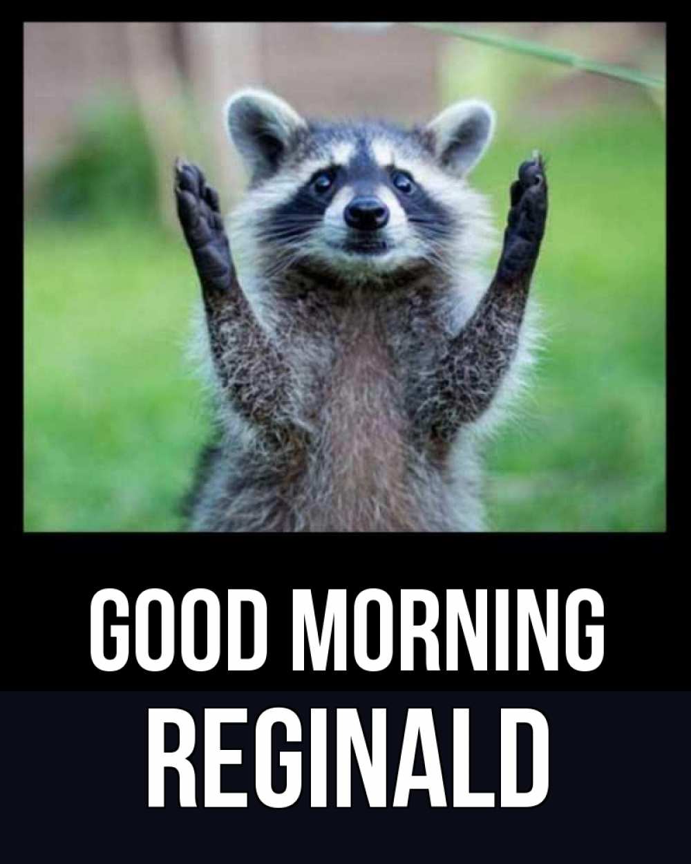 Greetings card с именем, Reginald Good morning хорошее настроение утречком Greetings with text for free download 