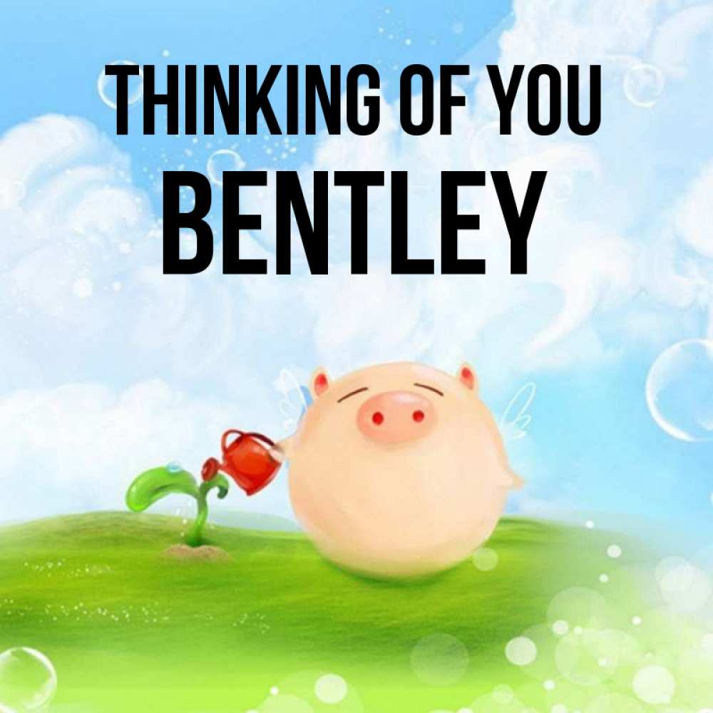 Greetings card с именем, Bentley Thinking of you позитивная свинюшка Greetings with text for free download 
