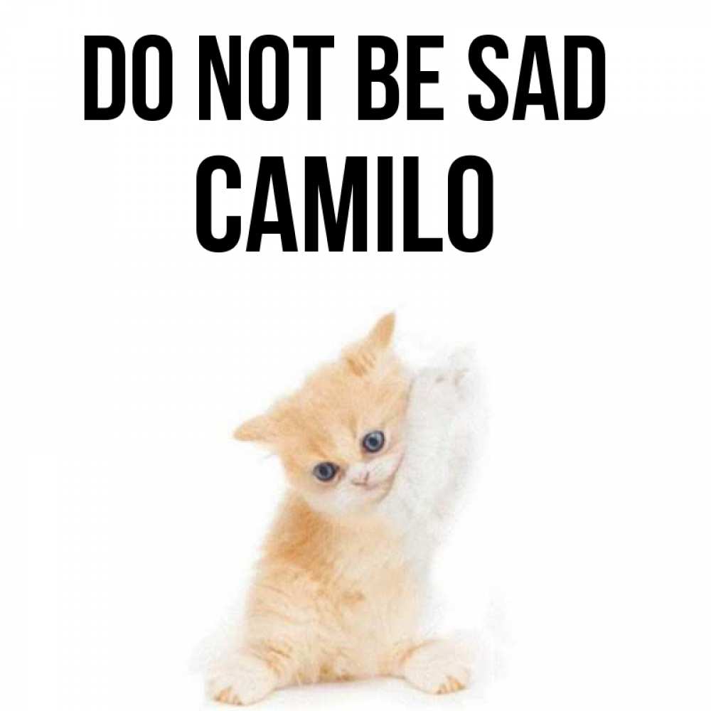 Greetings card с именем, Camilo Do not be sad просящий кот Greetings with text for free download 
