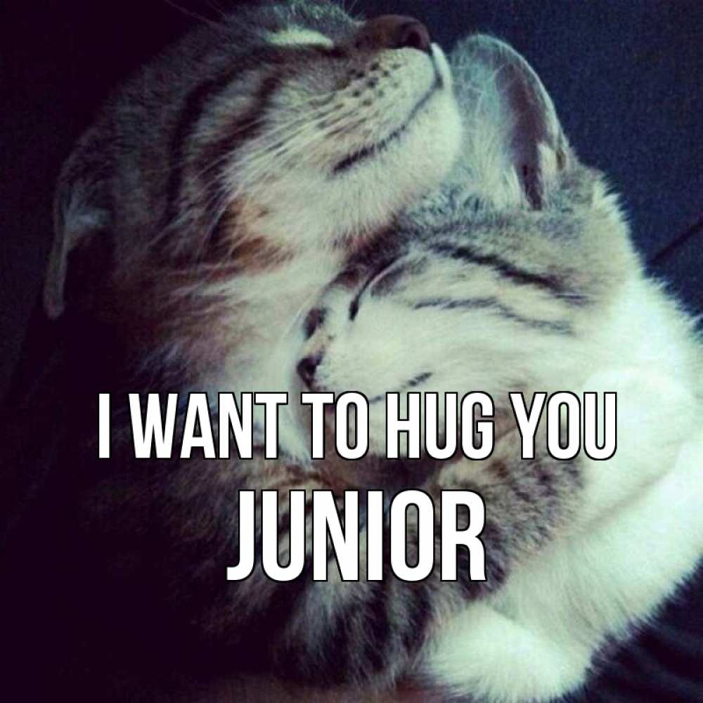 Greetings card с именем, Junior I want to hug you полосатики Greetings with text for free download 