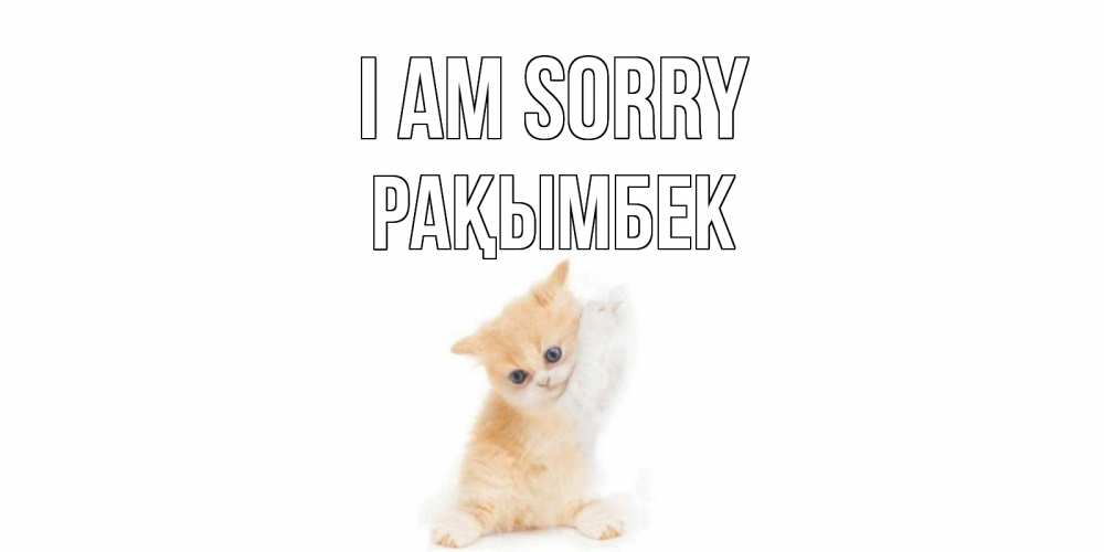 Greetings card с именем, Рақымбек I am sorry кот Greetings with text for free download 