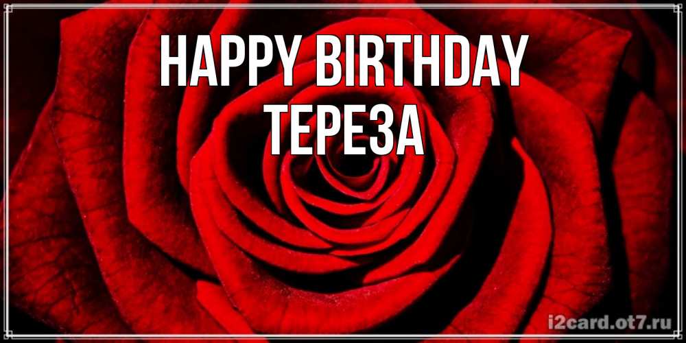 Greetings card с именем, Тереза Happy Birthday алая роза Greetings with text for free download 