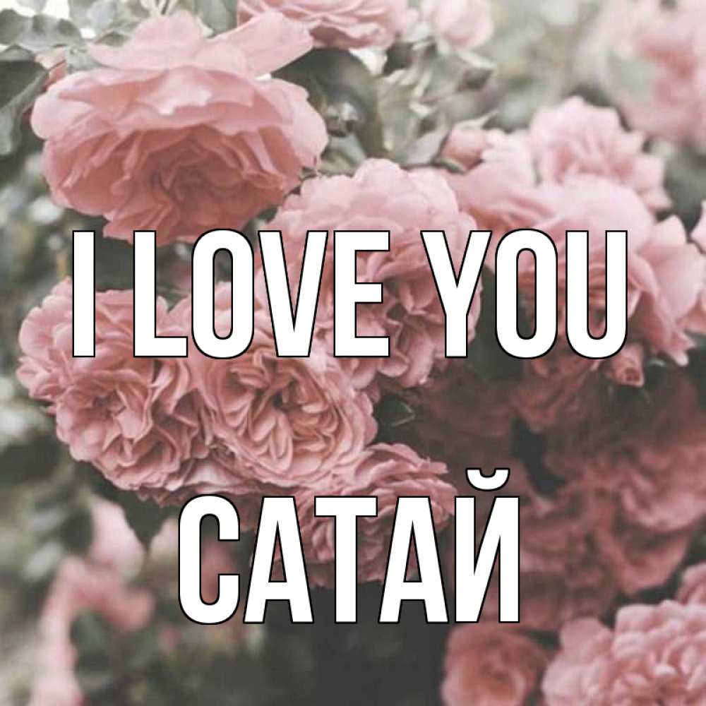 Greetings card с именем, САТАЙ I love you розы 3 Greetings with text for free download 