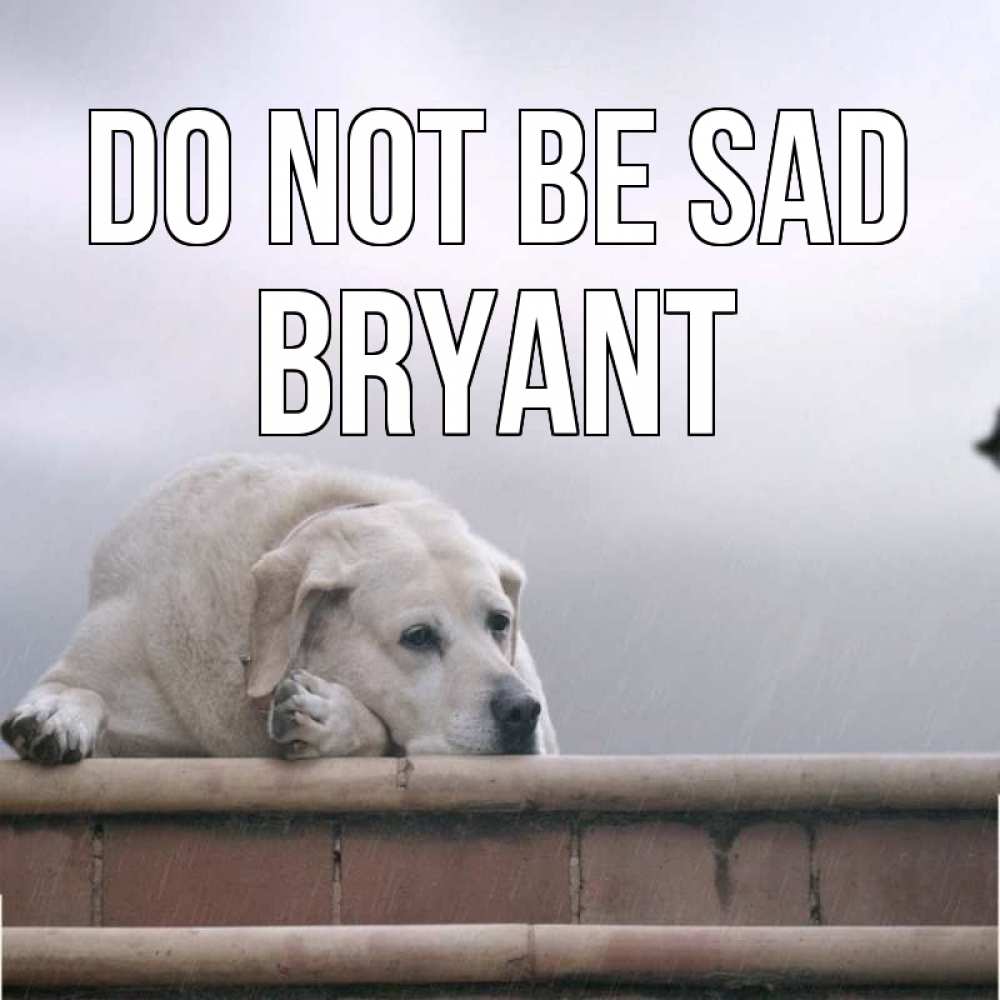 Greetings card с именем, Bryant Do not be sad белый пес 1 Greetings with text for free download 
