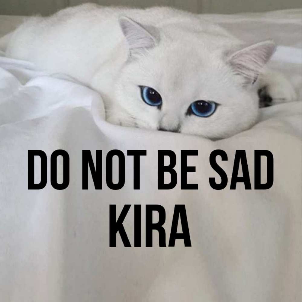 Greetings card с именем, Kira Do not be sad Голубоглазая кошка Greetings with text for free download 