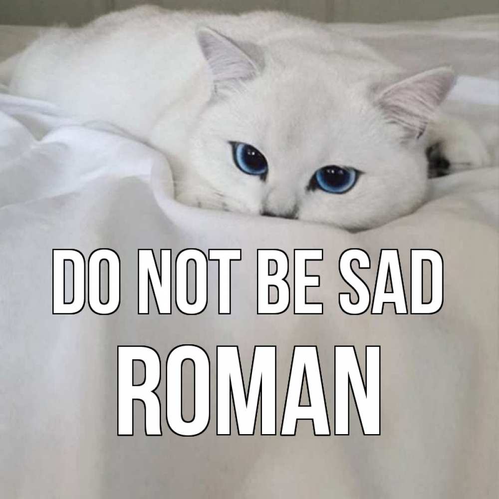 Greetings card с именем, Roman Do not be sad белый кот с голубыми глазами на белоснежной кровати Greetings with text for free download 