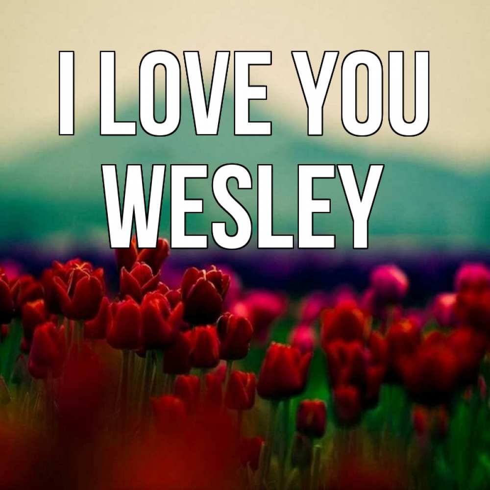 Greetings card с именем, Wesley I love you тюльпаны 4 Greetings with text for free download 