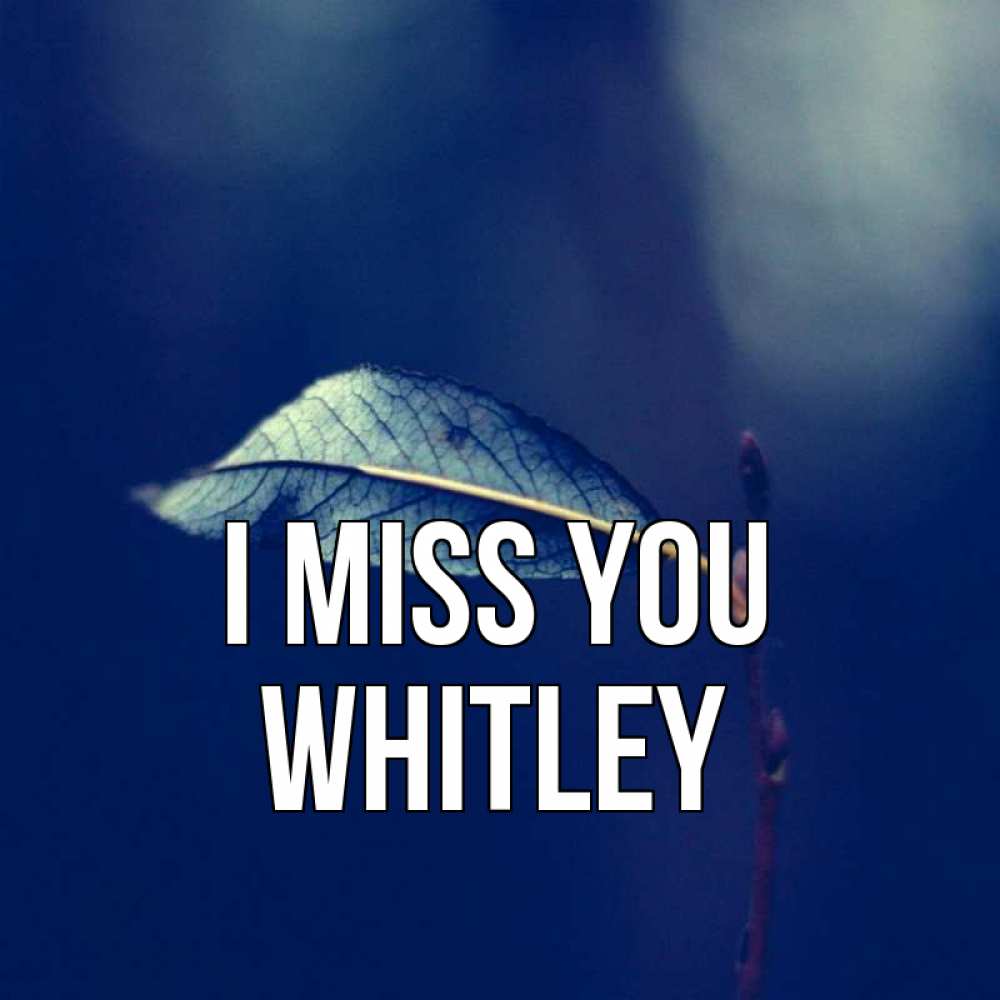 Greetings card с именем, Whitley I miss you одна ветка 1 Greetings with text for free download 