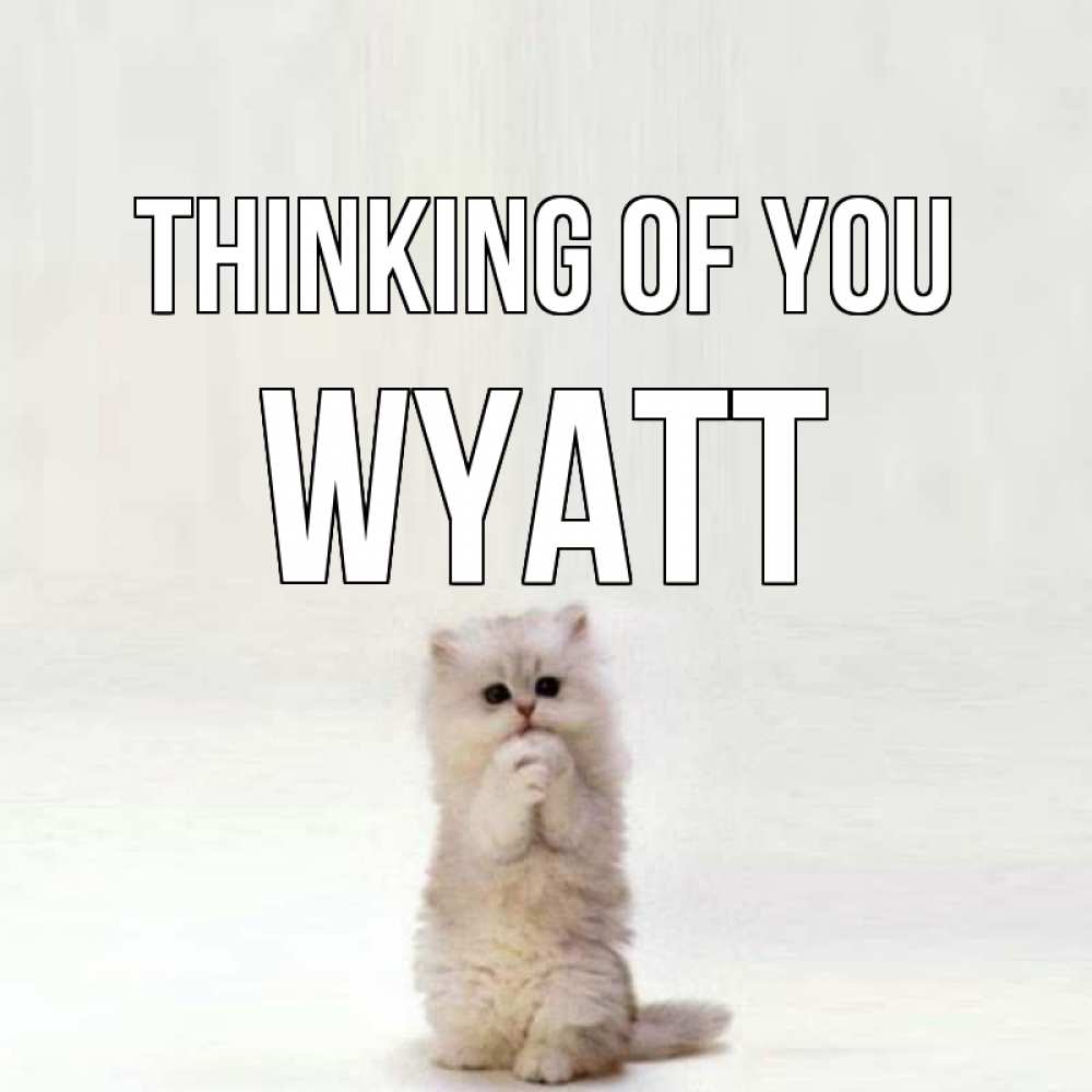 Greetings card с именем, Wyatt Thinking of you кот стоит на задних лапах Greetings with text for free download 
