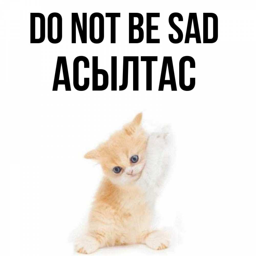 Greetings card с именем, АСЫЛТАС Do not be sad просящий кот Greetings with text for free download 