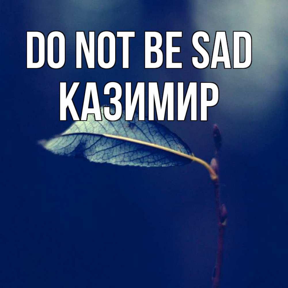 Greetings card с именем, Казимир Do not be sad растение Greetings with text for free download 
