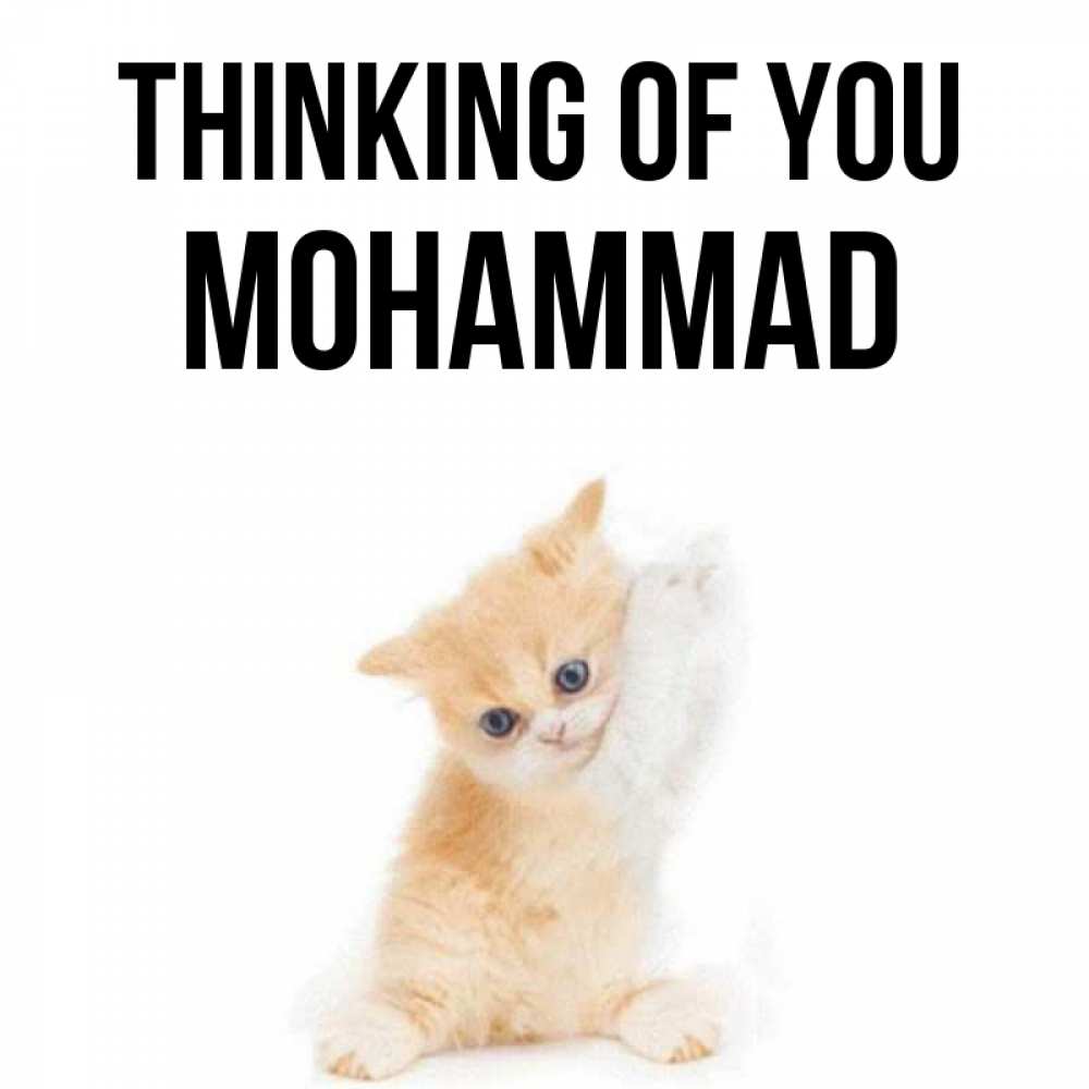 Greetings card с именем, Mohammad Thinking of you зверушки и милота Greetings with text for free download 
