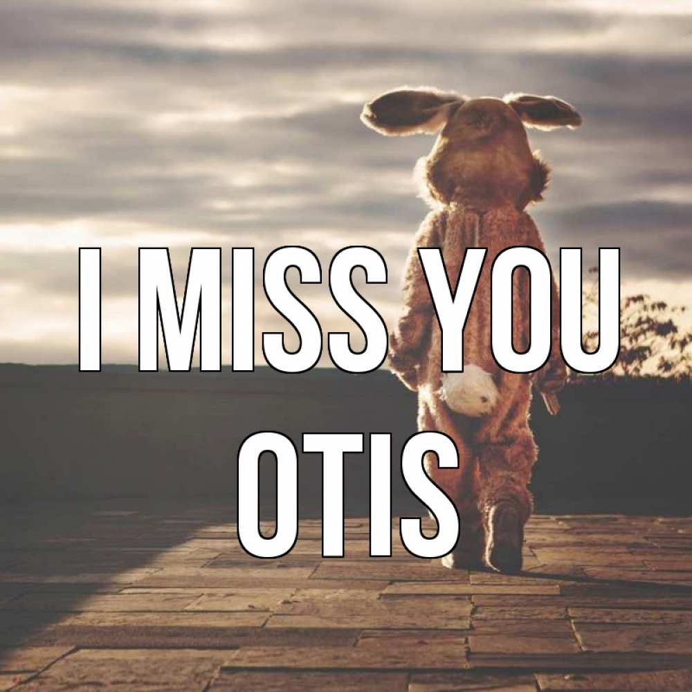 Greetings card с именем, Otis I miss you даже в костюме зайца Greetings with text for free download 