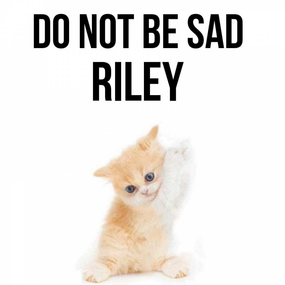 Greetings card с именем, Riley Do not be sad просящий кот Greetings with text for free download 