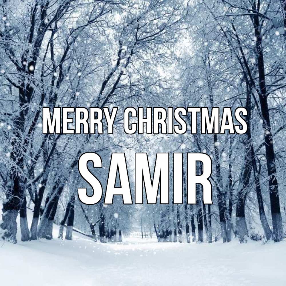 Greetings card с именем, Samir Merry Christmas снег, лес, парк Greetings with text for free download 