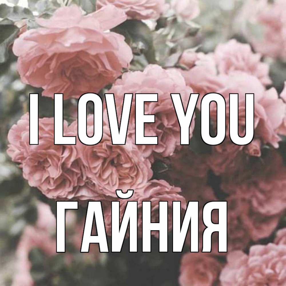 Greetings card с именем, ГАЙНИЯ I love you розы 3 Greetings with text for free download 