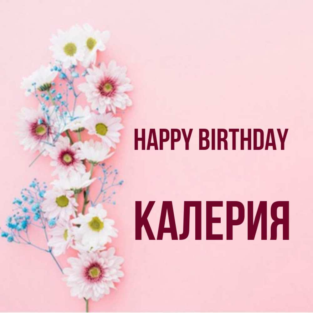 Greetings card с именем, Калерия Happy Birthday Родная моя с днем рождения тебя картинка с цветами белыми и голубыми Greetings with text for free download 