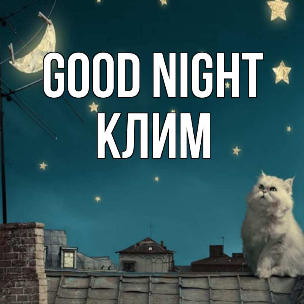 Greetings card с именем, Клим Good night белый кот сидит на крыше Greetings with text for free download 